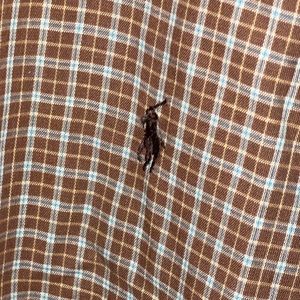 3XLT Ralph Lauren Button Down